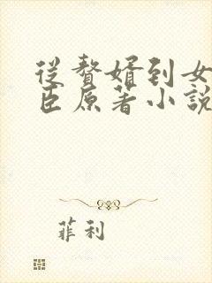 从赘婿到女帝宠臣原著小说