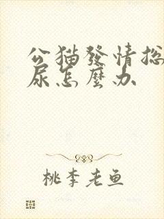 公猫发情总是乱尿怎么办