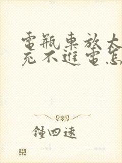 电瓶车放太久了充不进电怎么解决