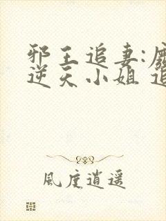 邪王追妻:废材逆天小姐 追书