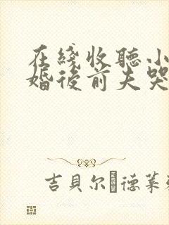 在线收听小说离婚后前夫哭着求复婚