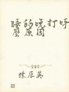 睡的晚打呼噜什么原因