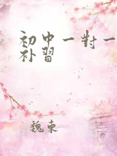 初中一对一历史补习