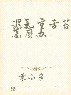 湿气重舌苔发黄怎么办