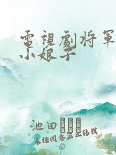 电视剧将军家的小娘子