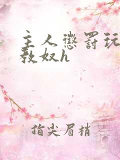 主人惩罚玩弄调教奴h