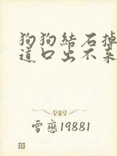 狗狗结石掉到尿道口出不来怎么办