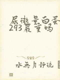 尿微量白蛋白高293严重吗