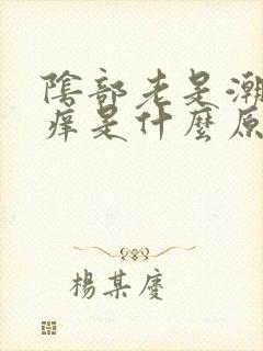 阴部老是潮湿瘙痒是什么原因