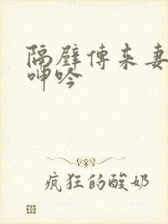 隔壁传来妻子的呻吟