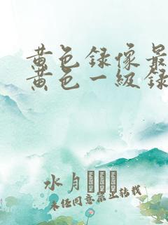 黄色录像最黄的黄色一级录像