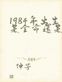 1984年出生是金命还是木命