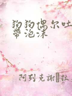 狗狗偶尔吐黄水带泡沫