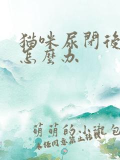 猫咪尿闭后乱尿怎么办