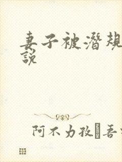 妻子被潜规则小说