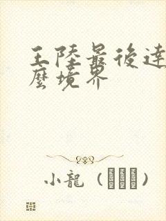 王陆最后达到什么境界