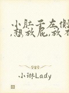 小肚子左侧胀气,想放屁,放不出来