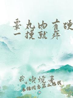 睾丸内有硬疙瘩一摸就疼