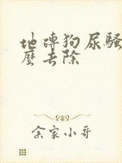 地砖狗尿骚味怎么去除