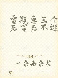 电瓶车三个月没充电充不进电怎么办