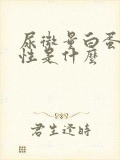 尿微量白蛋白阳性是什么