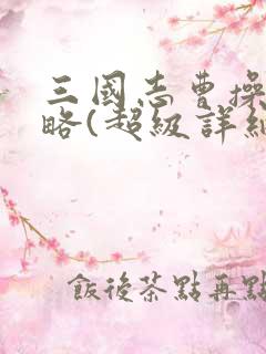 三国志曹操传攻略(超级详细)