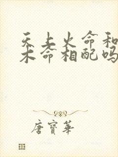 天上火命和大林木命相配吗