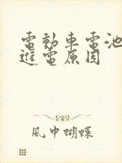 电动车电池充不进电原因