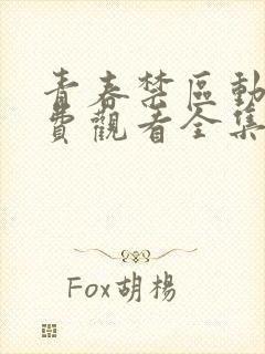 青春禁区动漫免费观看全集在线