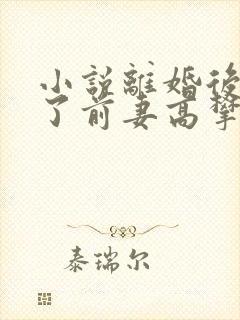 小说离婚后我成了前妻高攀不起的神