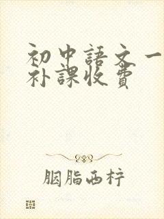 初中语文一对一补课收费