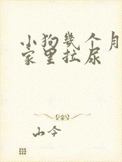 小狗几个月不在家里拉尿