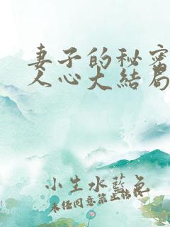 妻子的秘密莫是人心大结局