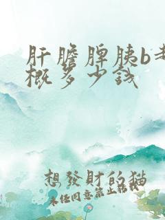 肝胆脾胰b超大概多少钱