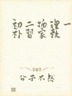 初二物理一对一补习家教