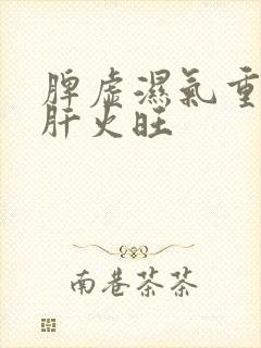 脾虚湿气重口臭肝火旺