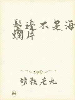 鬓边不是海棠红烂片