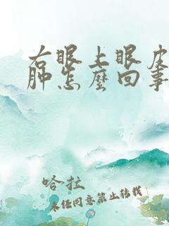 右眼上眼皮有点肿怎么回事