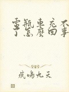 电瓶车充不进电了怎么回事