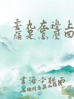 睾丸左边上有点痛是怎么回事