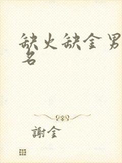 缺火缺金男孩取名