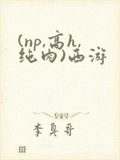 (np,高h,纯肉)西游