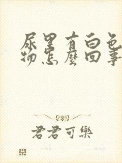 尿里有白色沉淀物怎么回事