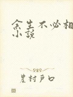 余生不必相见 小说