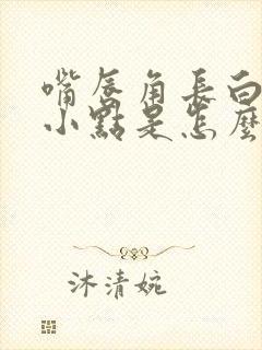 嘴唇角长白色的小点是怎么回事