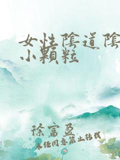 女性阴道阴道有小颗粒