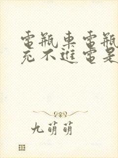 电瓶车电瓶突然充不进电是什么原因