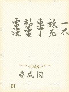 电动车放一个月没电了充不进电怎么办