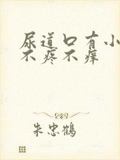 尿道口有小疙瘩不疼不痒