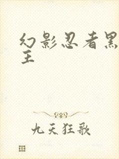 幻影忍者黑暗之主